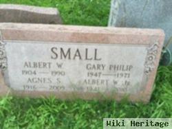 Gary P Small