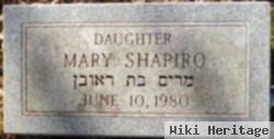 Mary Shapiro