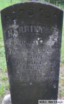 Harriet P Colvin