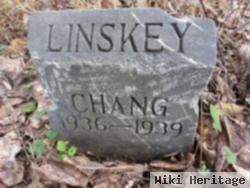 Chang Linskey