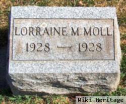 Lorraine M Moll