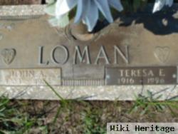 Teresa E. Loman