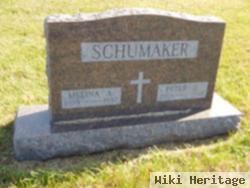 Peter J Schumaker