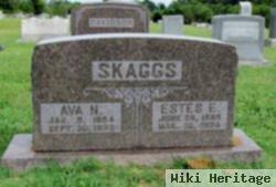 Estes Elisha Skaggs