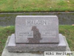 Andrew J Haugen