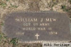 William J Mew