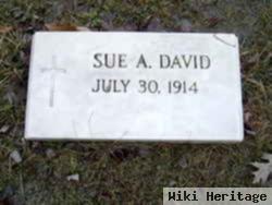 Sue A Nassar David