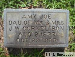 Amy J. Cornelison