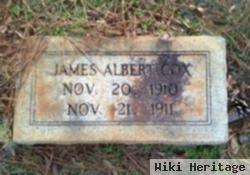 James Albert Cox