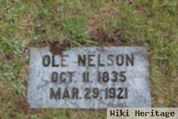 Ole Nilsson Nelson