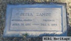 Peter Zandy