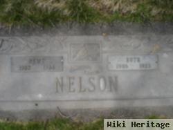 Newton Burness "newt" Nelson