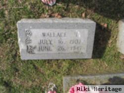 Wallace T Bruce