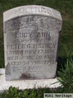 Lucy Ann Blecher Meshey