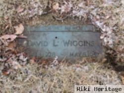 David L Wiggins