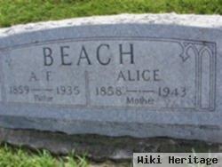 Alice Huffman Beach