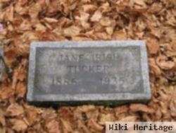 Jane Helen Irish Tucker