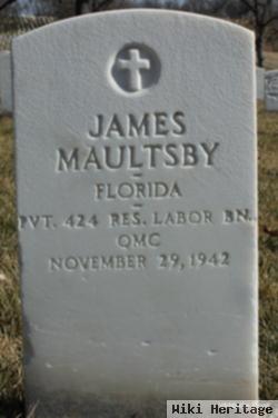 James Maultsby