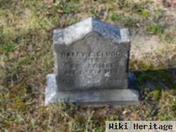 Harry E. Clugg