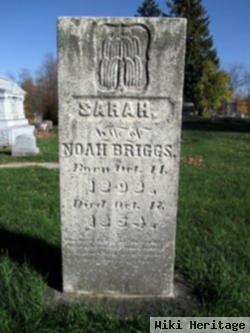 Sarah Kenyon Briggs