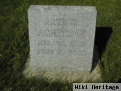 Arthur Agnitsch