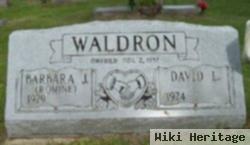 David L Waldron