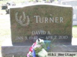 David A Turner