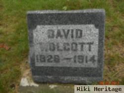 David Wolcott