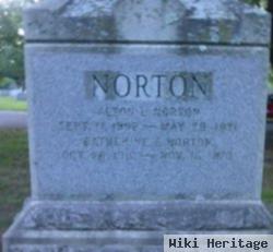 Alton L Norton