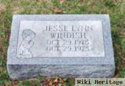 Jesse Lynn Windish