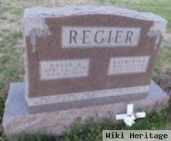 David J Regier