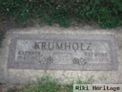 Raymond Aloysius Krumholz