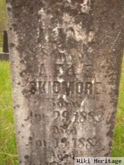 Alva E. Skidmore