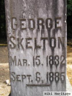 George Skelton