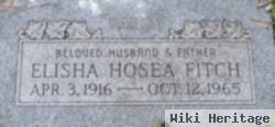 Elisha Hosea Fitch