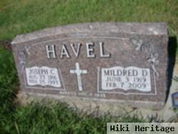 Joseph C Havel