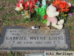 Gabriel Wayne Goins