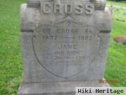 Jane Cross