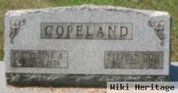 Stephen Dow Copeland