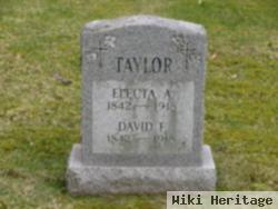 David F Taylor