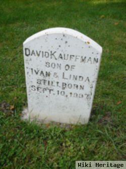 David Kauffman