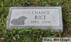 Chance Storm Rice