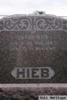 Jakob J Hieb