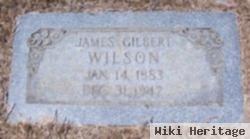 James Gilbert Wilson