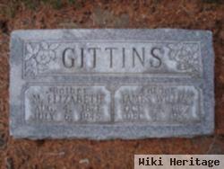 James William Gittins