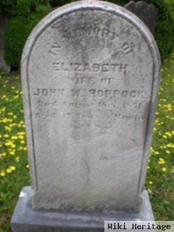 Elizabeth Sassaman Hoppock