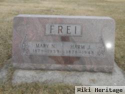 Mary N Brandt Frei