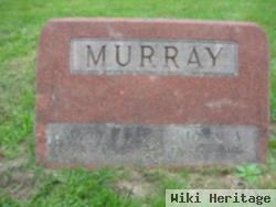 Mary L Murray