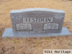 Remo R. Testolin