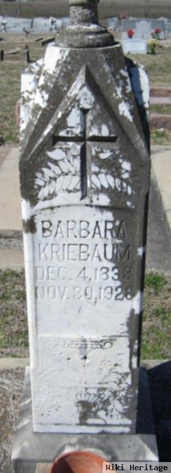 Barbara Kriebaum